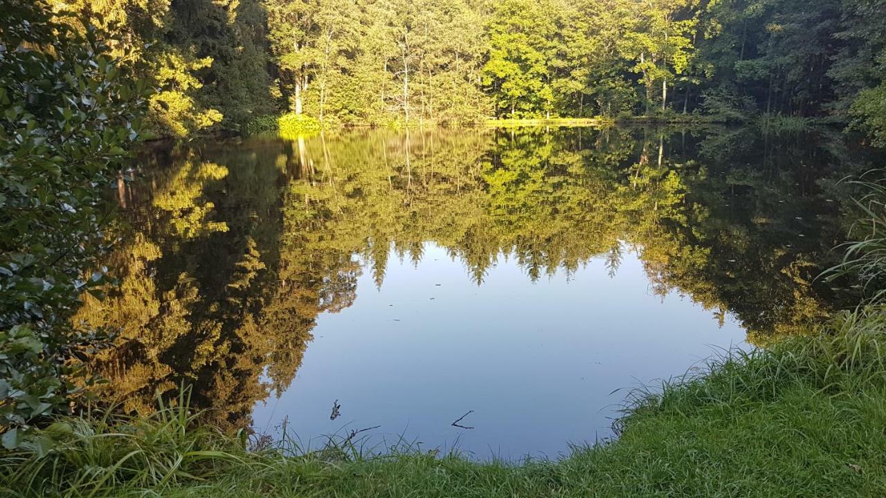 Apartman U Kolonady Marianske Lazne Bagian luar foto